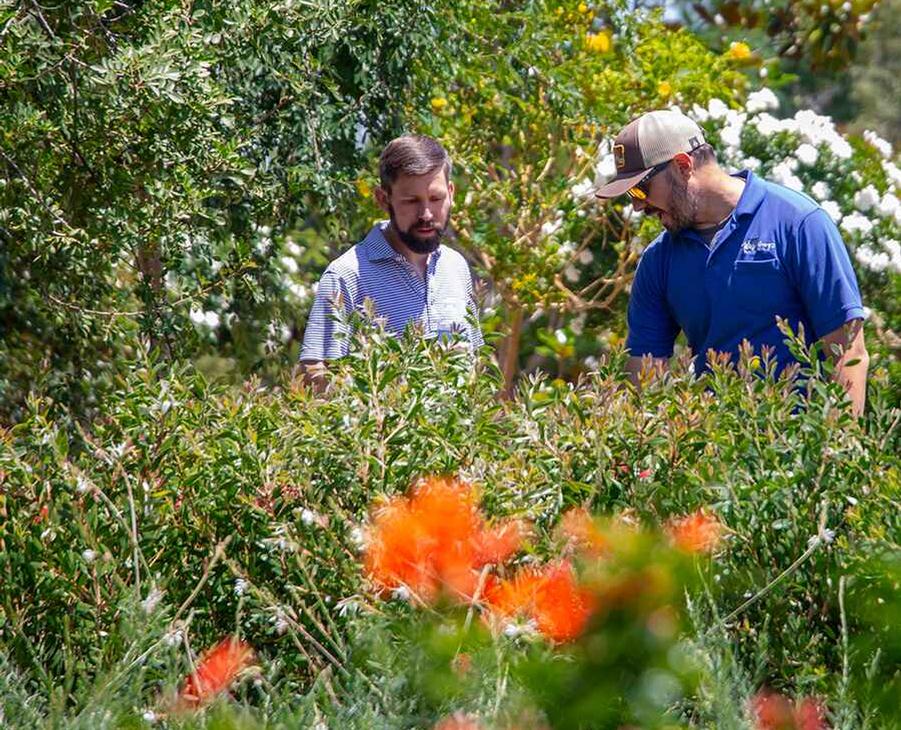 The Support You Need