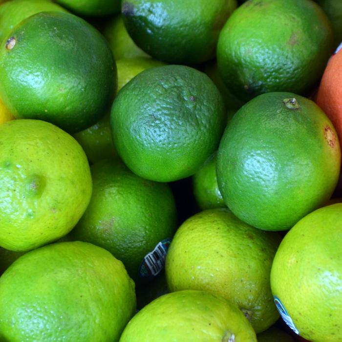 Mexican (Key) Lime - Citrus aurantifolia from Whitfill Nursery